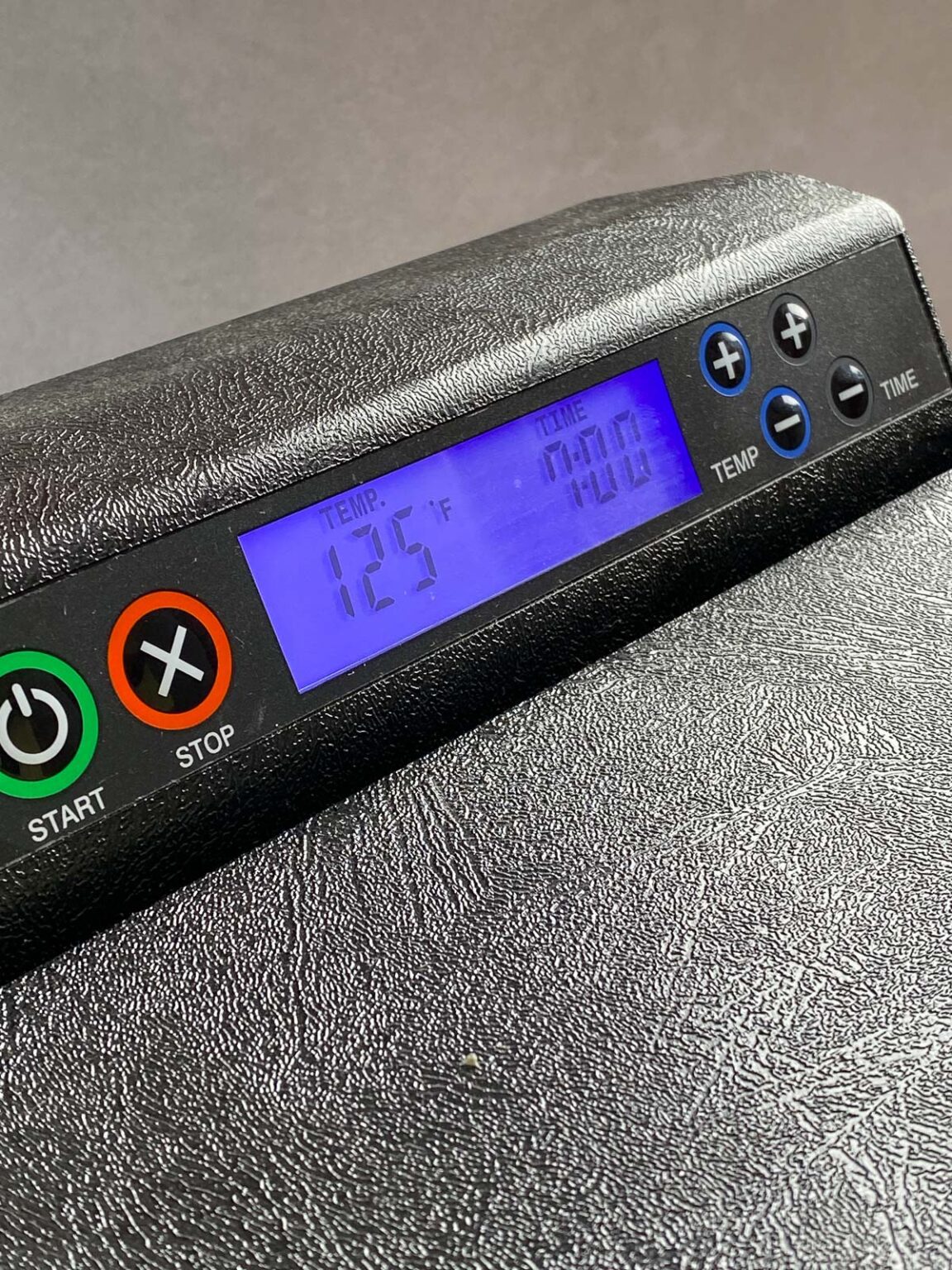 Dehydrator Apple Chips [+ Air Fryer Cinnamon Apple Slices] Food