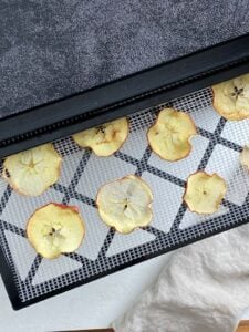 Crispy dehydrated apple chips on a dehydrator tray.
