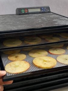 A tray of apple slices sliding into a dehydrator.