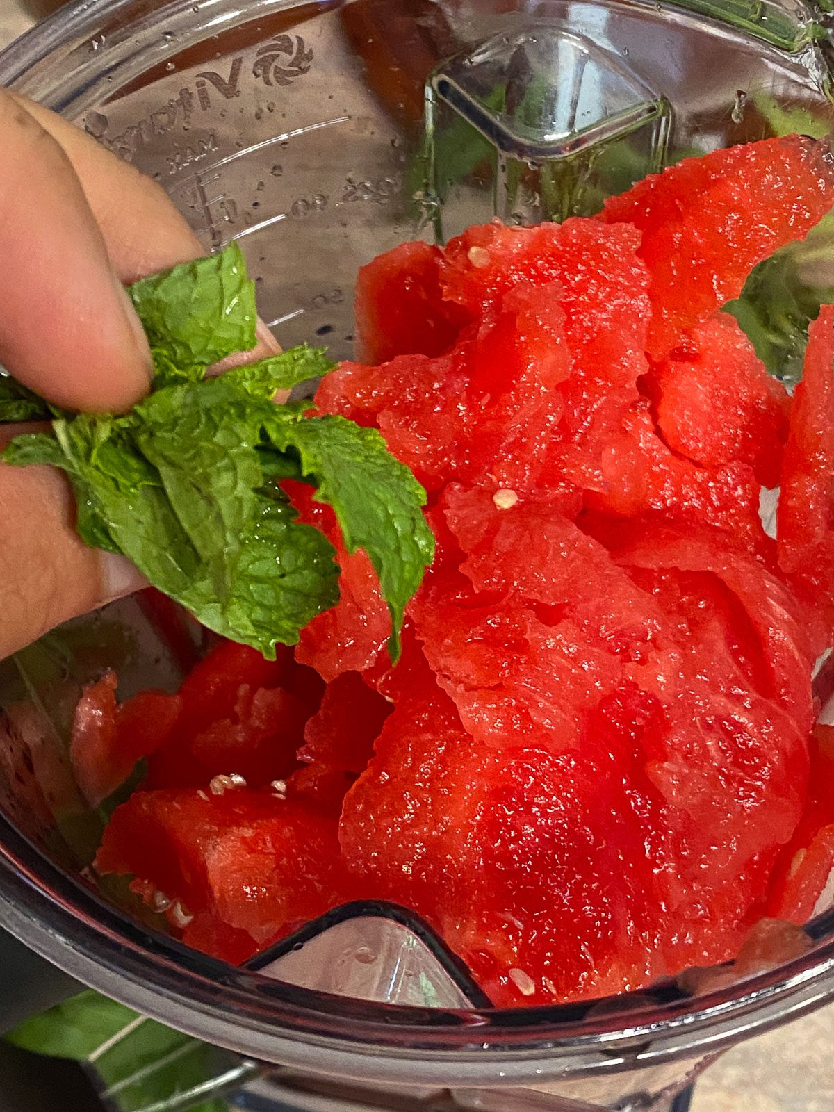process of adding mint to watermelon mixture in blender