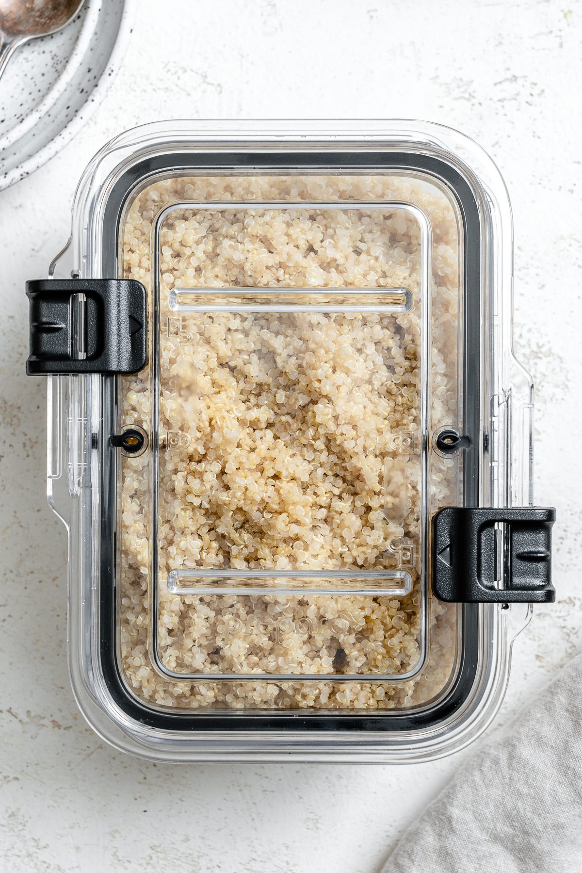 completed rice in a container against a white background