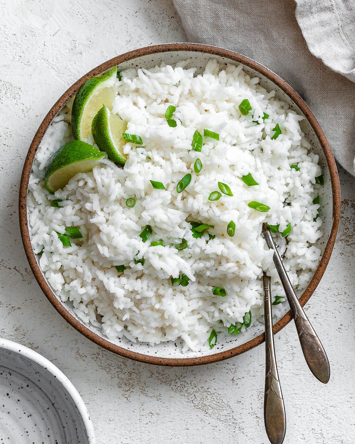 completed Coconut Basmati Rice plated in a bowl against a light background