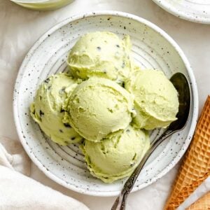 Completed Vegan Mint Chocolate Chip Ice Cream (Ninja Creami) scoops plated.