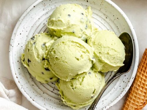 Vegan-Mint-Chocolate-Chip-Ice-