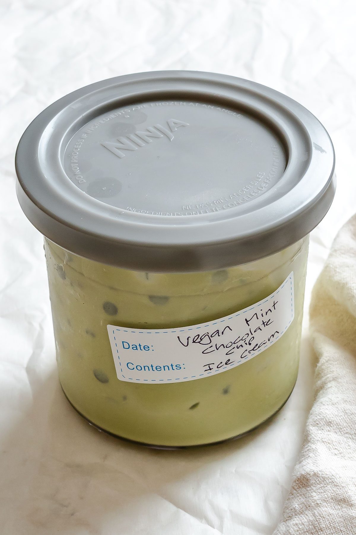 Completed Vegan Mint Chocolate Chip Ice Cream (Ninja Creami) in a storage container.