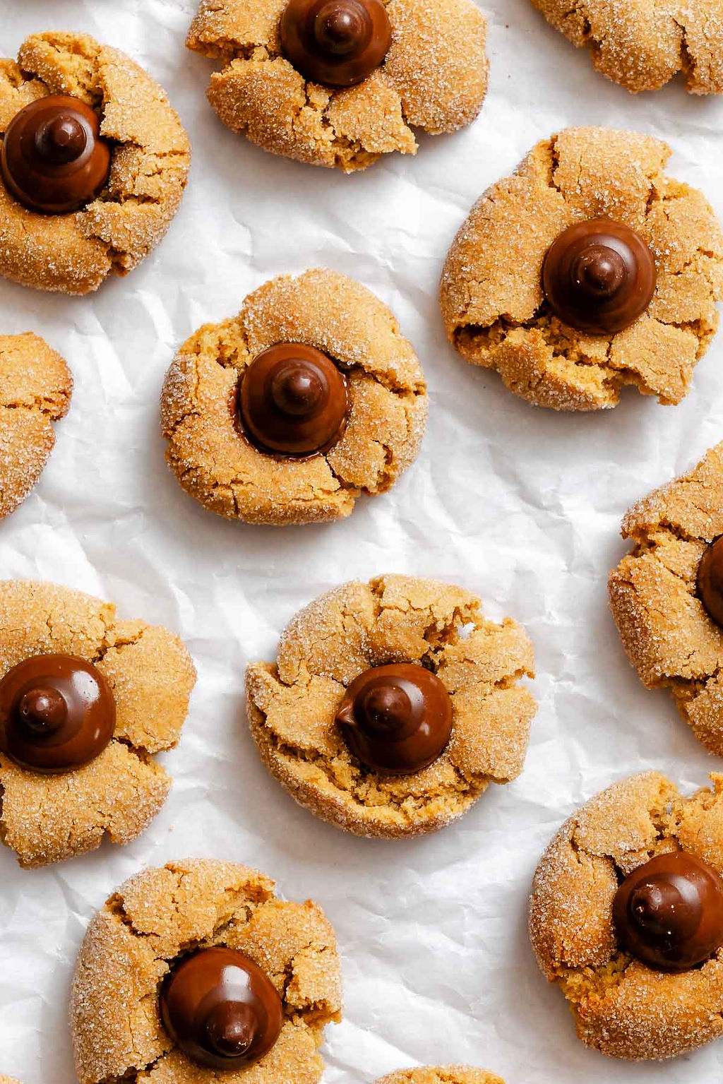 Completed Peanut Butter Blossoms on white surface.
