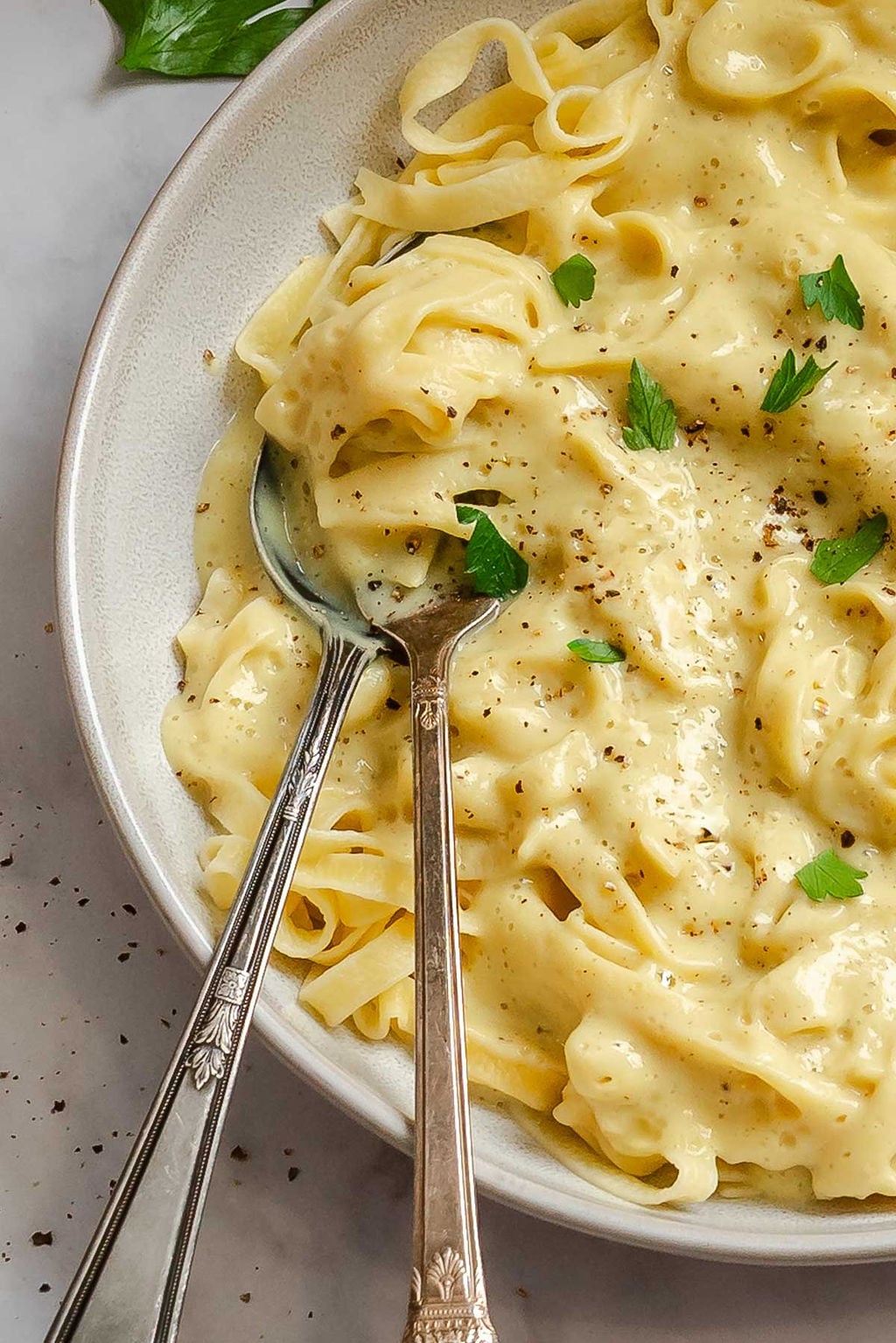 Completed Healthy Cauliflower Alfredo Sauce on pasta on a plate. 