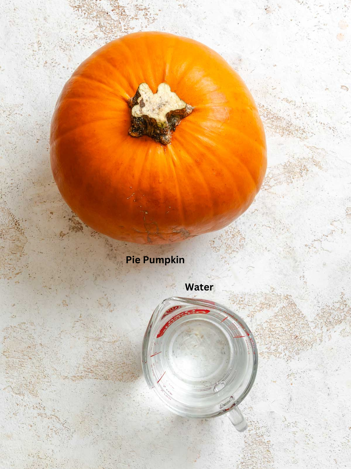 Ingredients for Pumpkin Puree on a white surface.